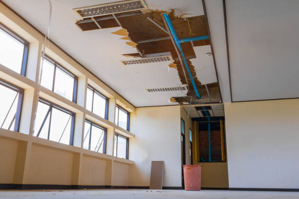 Best Water damage restoration services  in Ironton, MO