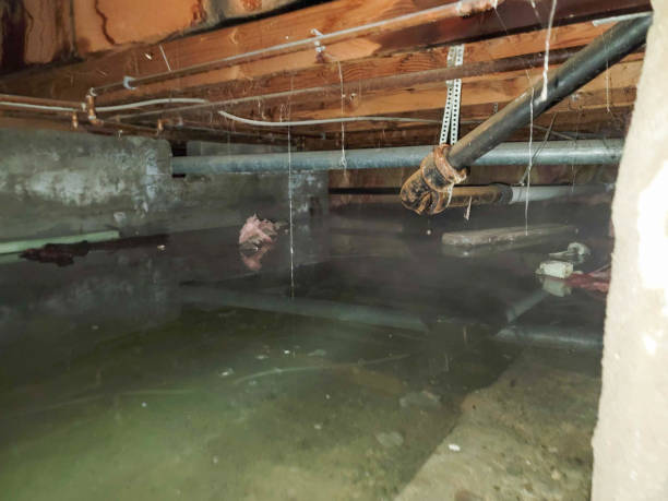 Best Commercial water damage restoration  in Ironton, MO
