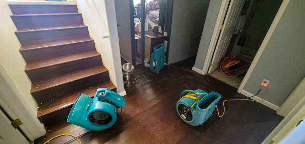 Best Water damage restoration near me  in Ironton, MO