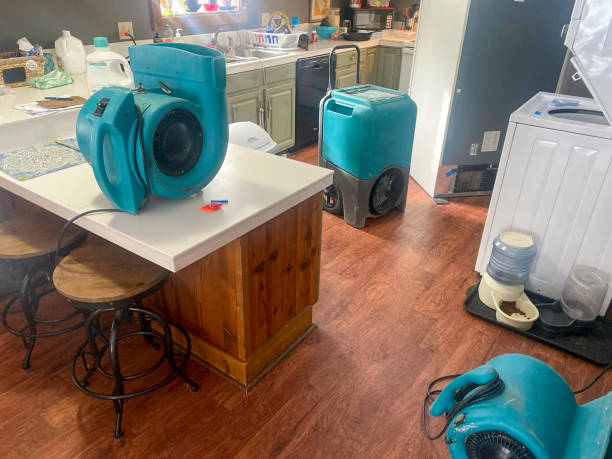 Best Fire Damage Restoration  in Ironton, MO
