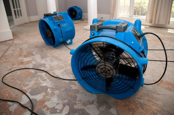 Best Residential water damage restoration  in Ironton, MO