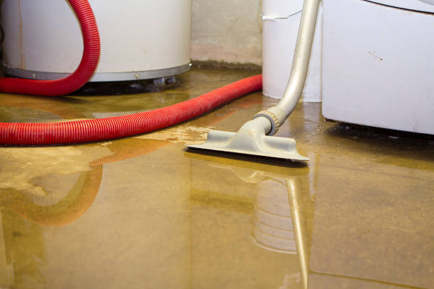 Best Carpet water damage restoration  in Ironton, MO