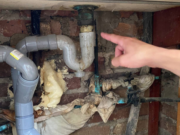 Best Water damage contractors near me  in Ironton, MO